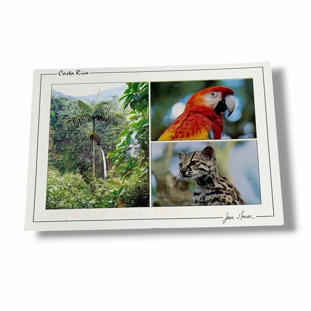 Postcard Costa Rica Waterfall Red Macaw Ocelot 4x6 Continental c1995 I245